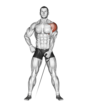 Elevação Lateral com Polia com Um Braço