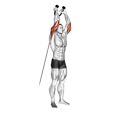 Cable Overhead Triceps Extension Rope Attachment