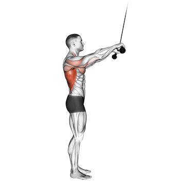 Cable Pushdown Straight Arm V 2