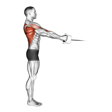 Cable Standing Row V Bar