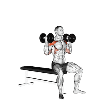 Dumbbell Arnold Press V 2