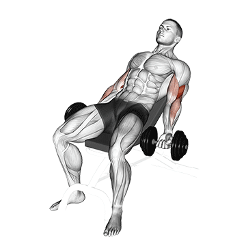 Dumbbell Incline Curl V 2