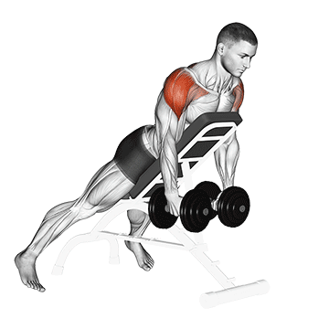 Elevación Lateral Inversa con Mancuernas en Inclinado