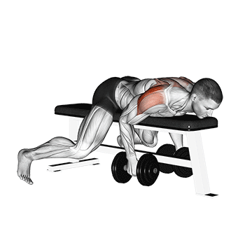 Elevación Lateral Trasera con Mancuernas Acostado