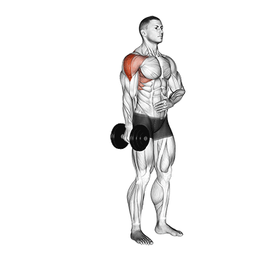 Elevação Lateral com Halter em um Braço
