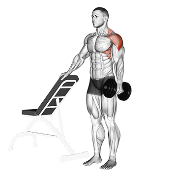 Elevação Lateral com Halter em um Braço com Apoio