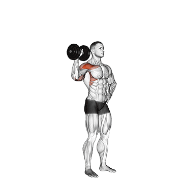 Dumbbell One Arm Shoulder Press V 2