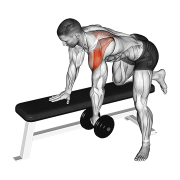 Remada para Deltoide Posterior com Halteres
