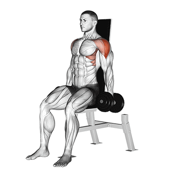 Dumbbell Seated Lateral Raise V 2