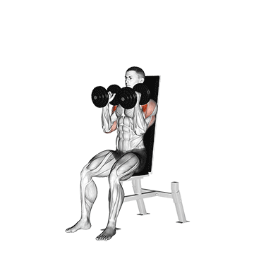 Dumbbell Seated Shoulder Press Parallel Grip