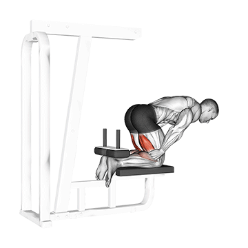 Curl Inverso con Soporte en Banco