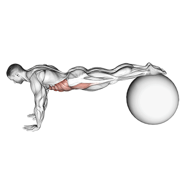 Pull In On Stability Ball