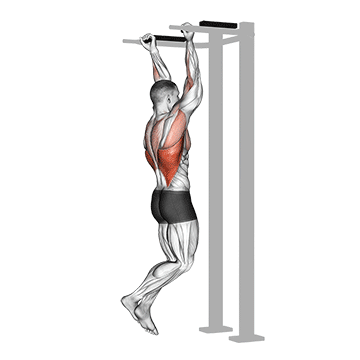 Reverse Grip Pull Up