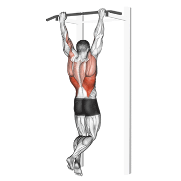 Pulldown de Pull Up de Rocky