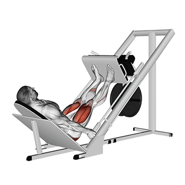 Sled 45 Leg Press