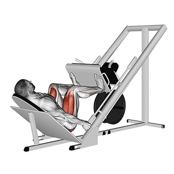 Prensa de Pierna Ancha Sled 45