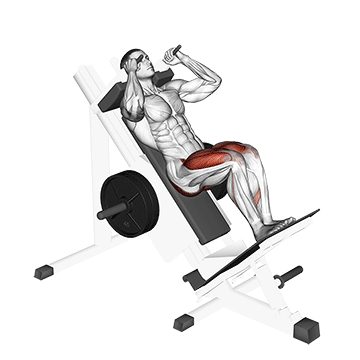 Hack Squat Sled Fechado