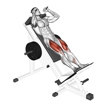 Hack Squat Sled