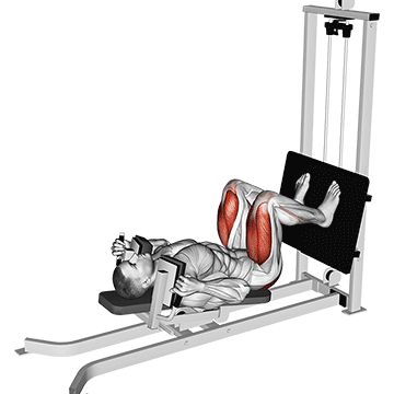 Sentadilla Acostada Sled