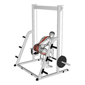 Smith Deadlift
