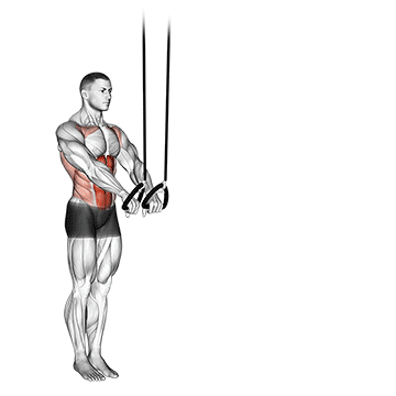 Abdominal suspendido