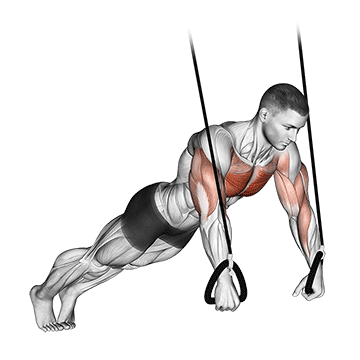 Flexão suspensa