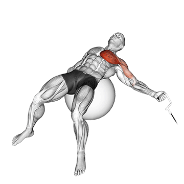 Fly com Polia com Um Braço em Bola de Exercício