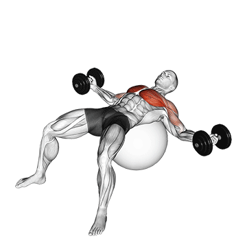 fly com halter em bola de exercício