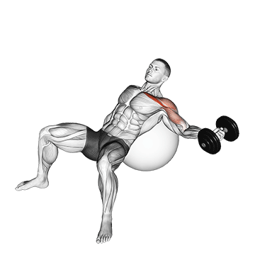 Abertura unilateral com halter inclinado em bola de exercício