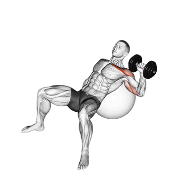 Pressão unilateral com halter inclinado em bola de exercício