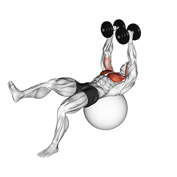 Fly com halter em uma perna na bola de exercício