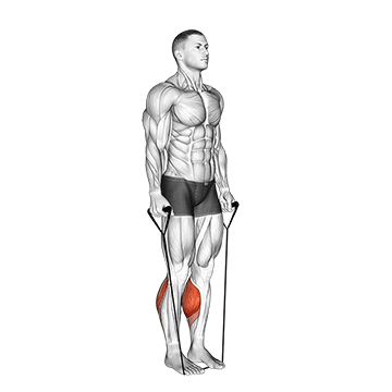 Band Two Legs Calf Raise Band Under Both Legs V 2