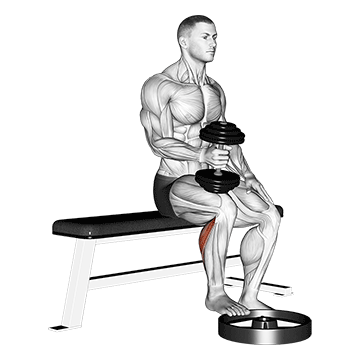 Dumbbell Seated One Leg Calf Raise Hammer Grip