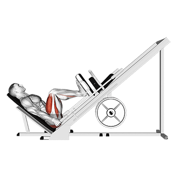 Sled 45 Leg Press Side Pov