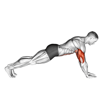 Flexão com antebraços no chão