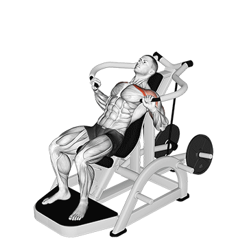 Lever Incline Chest Press V 2