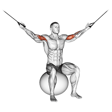 Curl Sobre a Cabeça com Polia em Bola de Exercício