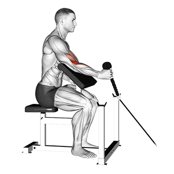 Curl predicador con cuerda de polea a un brazo