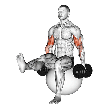 Curl de Bíceps en Balón de Ejercicio con Mancuernas y Pierna Elevada