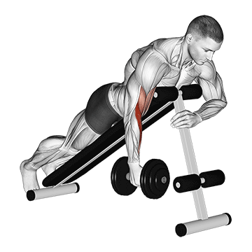 Curl Prono con Mancuerna a un Brazo (Hammer)