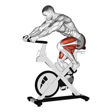 Stationary Bike Run V 3