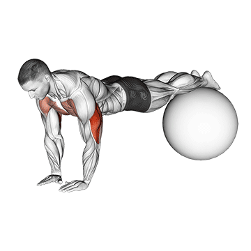 Flexión Estrecha en Pelota de Ejercicio