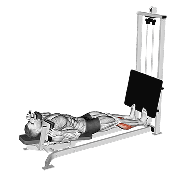 Prensa de Panturrilha Deitada Sled