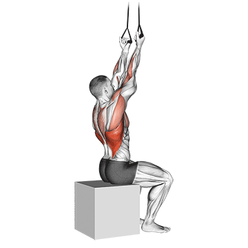 pulldown com pegada invertida e costas fixas com banda