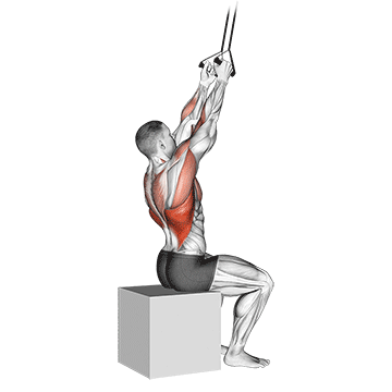 pulldown com pegada fechada e costas fixas com banda