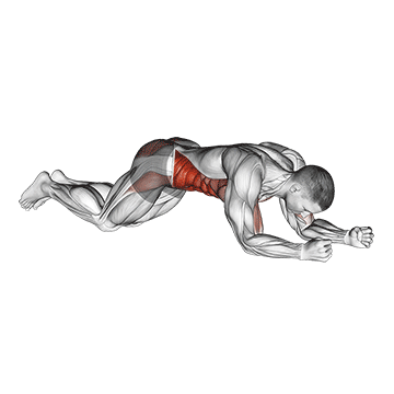 Kneeling Plank Tap Shoulder Male