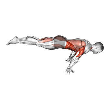 Flexión en Planche Completa