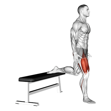Quads Bodyweight Squat