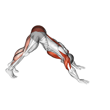 flexão de pike para cobra