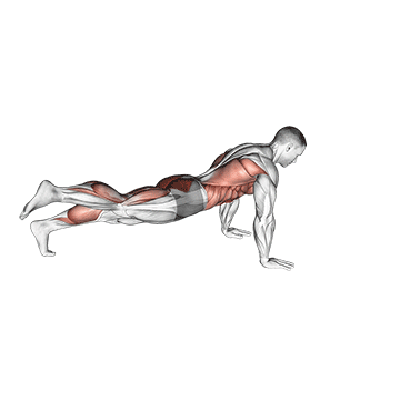 plancha power point